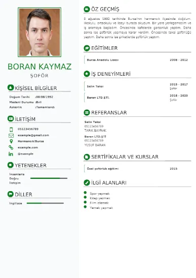 Şoför Örnek cv indir